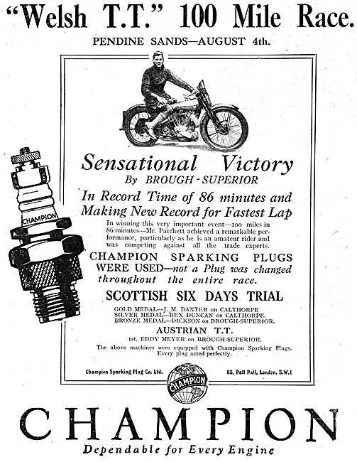 Champion Spark Plugs                                             