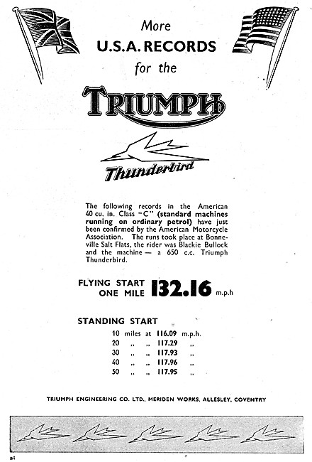 Triumph Thunderbird                                              