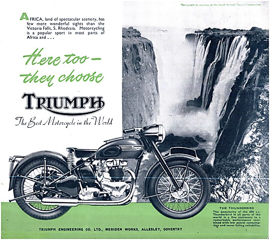 Triumph Thunderbird 650 cc 1952                                  